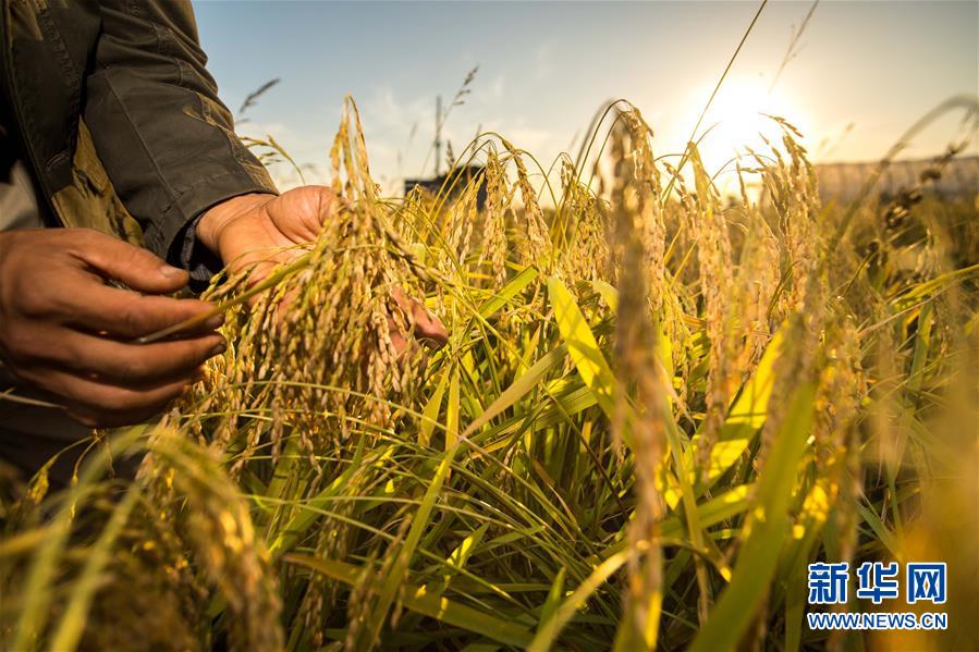 (新華全媒頭條·圖文互動(dòng))(5)上下同心再出發(fā)——習(xí)近平總書記同出席2019年全國(guó)兩會(huì)人大代表、政協(xié)委員共商國(guó)是紀(jì)實(shí)